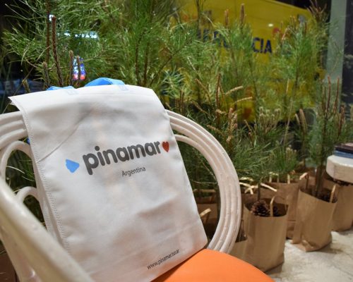 22219895_10155769424629313_8909605858738615837_o